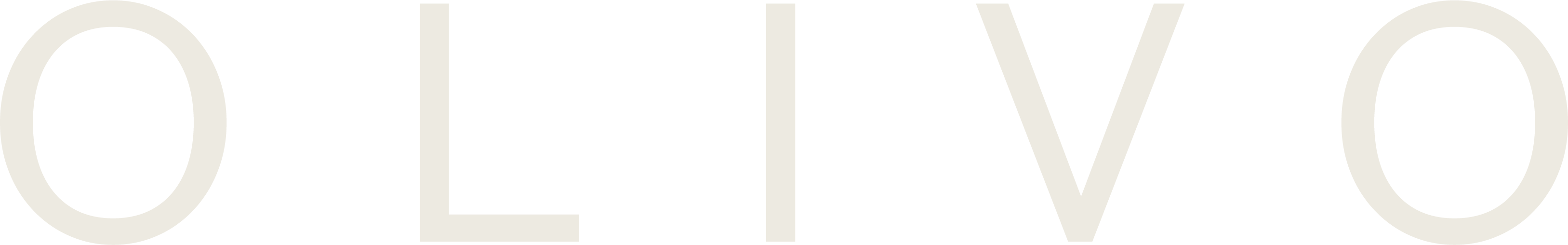 OLIVO